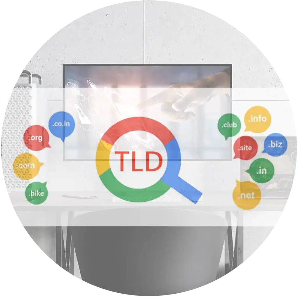 Domain Registration International